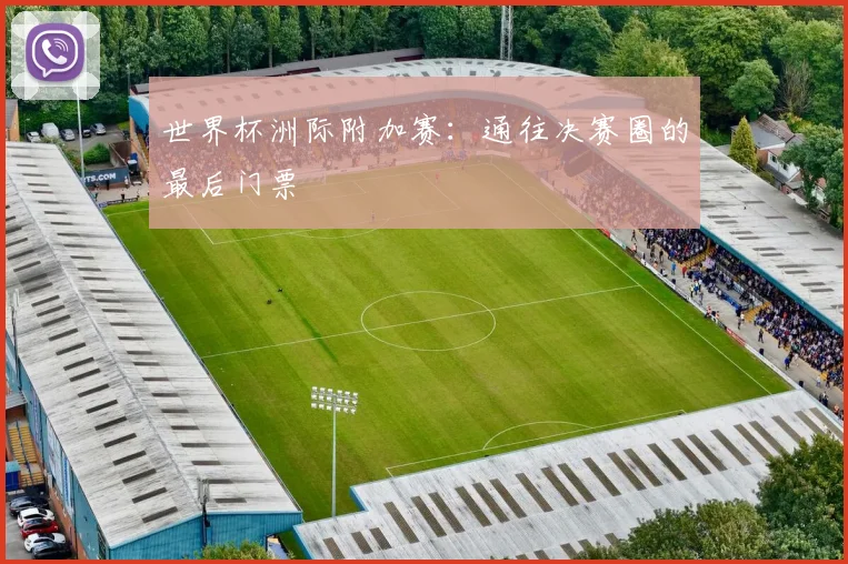 世界杯洲际附加赛：通往决赛圈的最后门票