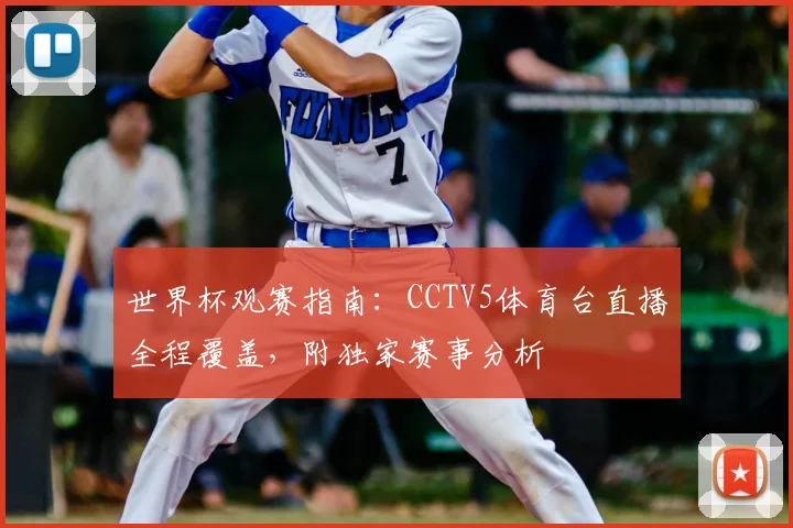 世界杯观赛指南：CCTV5体育台直播全程覆盖，附独家赛事分析