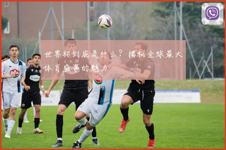 世界杯到底是什么?揭秘全球最大体育盛事的魅力