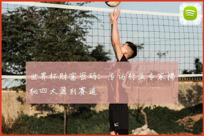 世界杯财富密码:专访行业专家揭秘四大盈利赛道