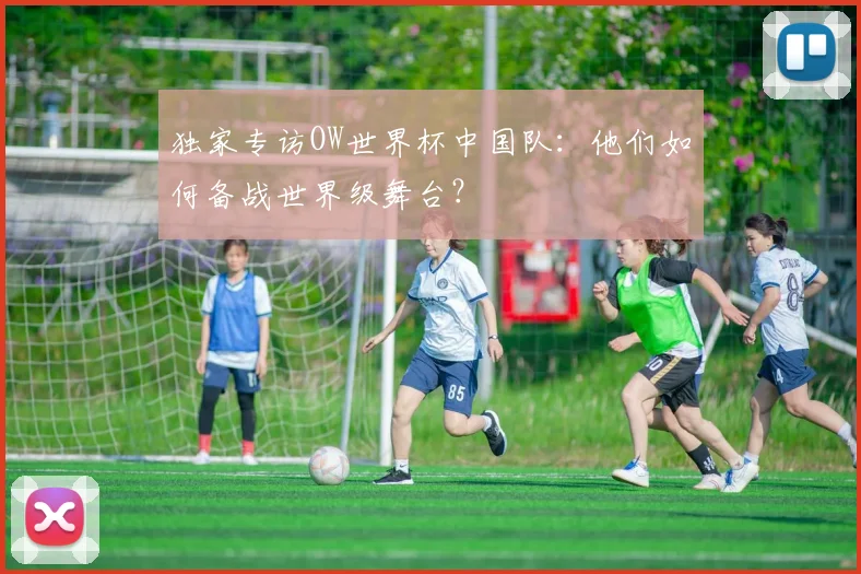独家专访OW世界杯中国队：他们如何备战世界级舞台？