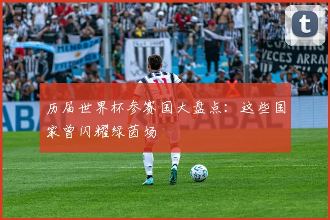 历届世界杯参赛国大盘点:这些国家曾闪耀绿茵场