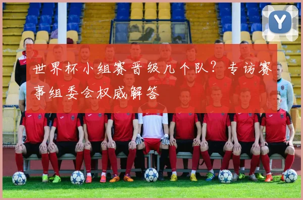 世界杯小组赛晋级几个队?专访赛事组委会权威解答
