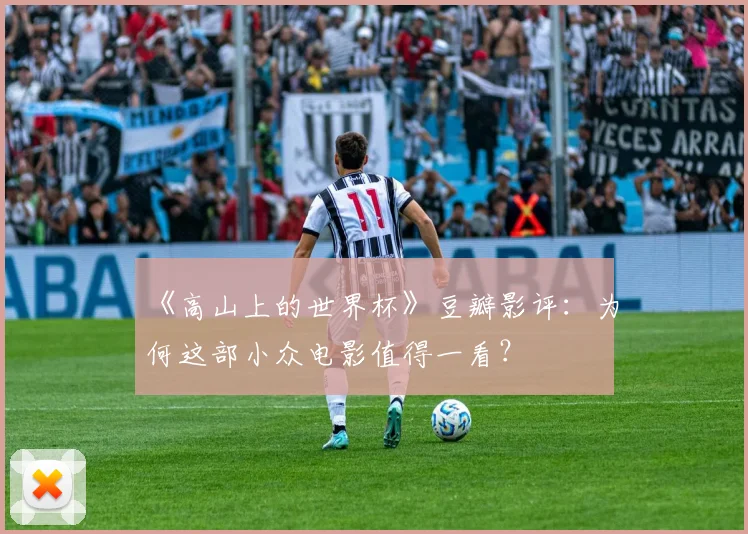 《高山上的世界杯》豆瓣影评:为何这部小众电影值得一看?