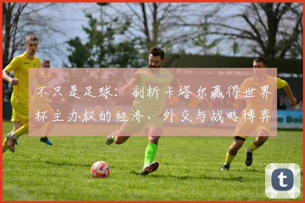 不只是足球：剖析卡塔尔赢得世界杯主办权的经济、外交与战略博弈