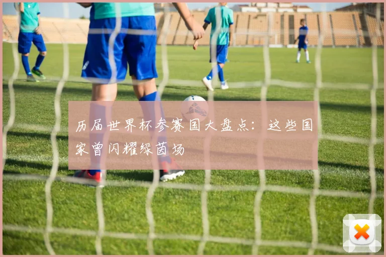 历届世界杯参赛国大盘点:这些国家曾闪耀绿茵场