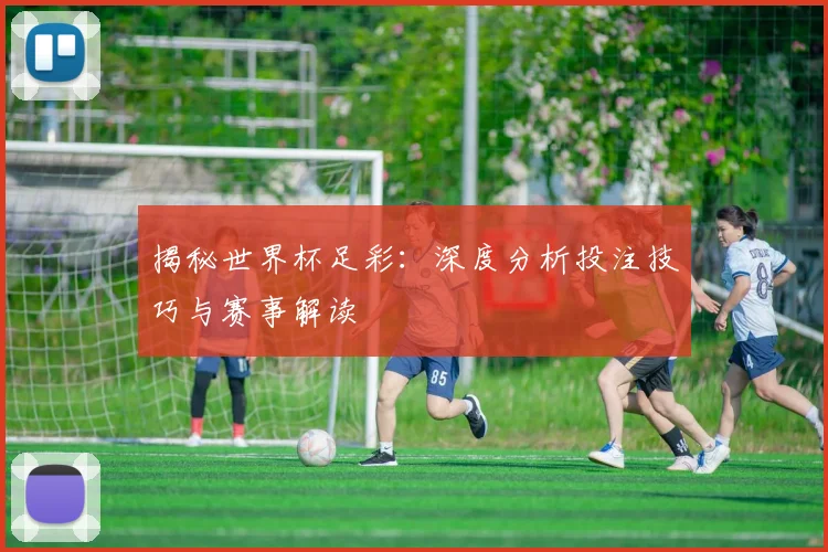 揭秘世界杯足彩:深度分析投注技巧与赛事解读